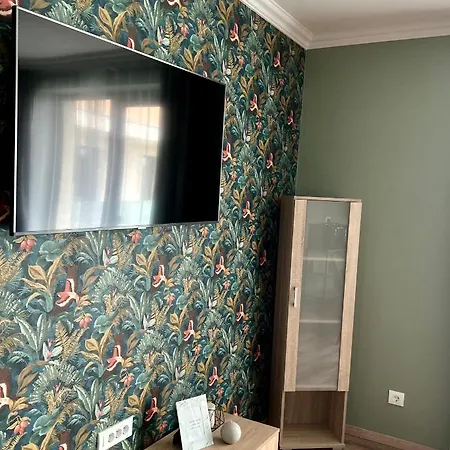 Becca'S Downtown Apartment With Private Parking Oradea Exterior photo