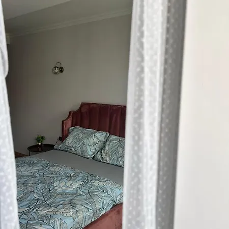 Becca'S Downtown Apartment With Private Parking Oradea Exterior photo